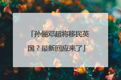 孙俪邓超将移民英国？最新回应来了
