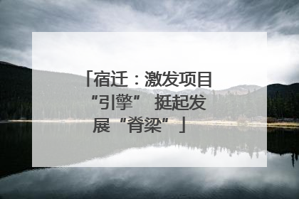 宿迁：激发项目“引擎” 挺起发展“脊梁”