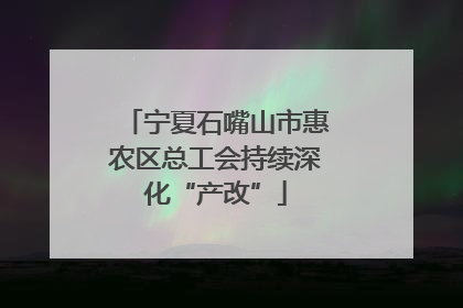 宁夏石嘴山市惠农区总工会持续深化“产改”