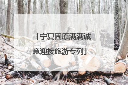 宁夏固原满满诚意迎接旅游专列