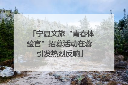 宁夏文旅“青春体验官”招募活动在蓉引发热烈反响