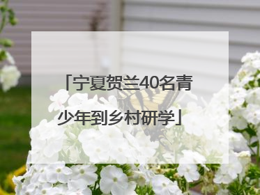 宁夏贺兰40名青少年到乡村研学