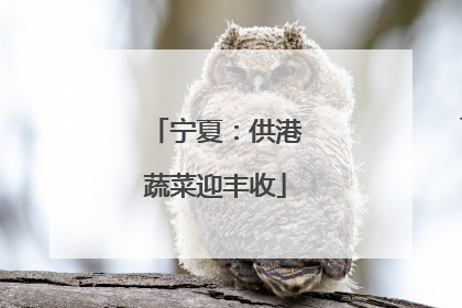宁夏：供港蔬菜迎丰收