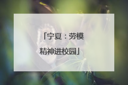 宁夏：劳模精神进校园