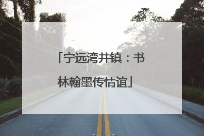 宁远湾井镇：书林翰墨传情谊