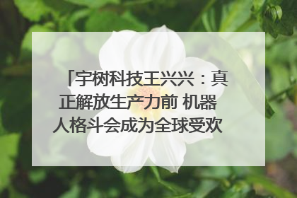 宇树科技王兴兴：真正解放生产力前 机器人格斗会成为全球受欢迎的赛事｜科技观察
