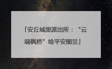 安丘城里派出所：“云端枫桥”绘平安图景