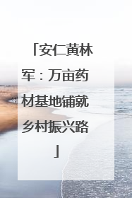 安仁黄林军：万亩药材基地铺就乡村振兴路