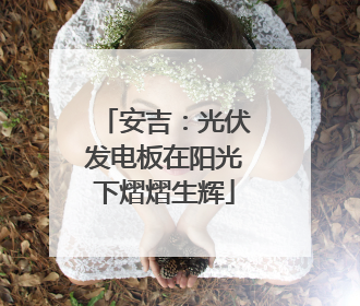 安吉：光伏发电板在阳光下熠熠生辉