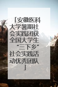 安徽医科大学暑期社会实践团获全国大学生“三下乡”社会实践活动优秀团队