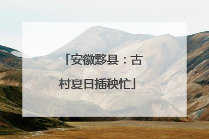 安徽黟县：古村夏日插秧忙