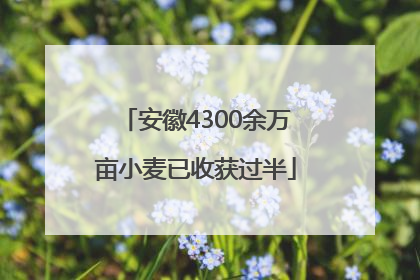 安徽4300余万亩小麦已收获过半