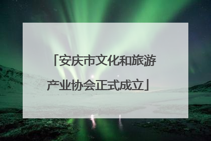 安庆市文化和旅游产业协会正式成立