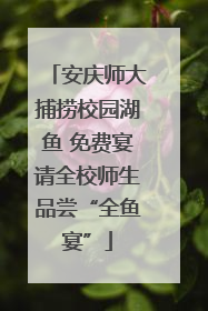 安庆师大捕捞校园湖鱼 免费宴请全校师生品尝“全鱼宴”