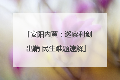 安阳内黄：巡察利剑出鞘 民生难题速解