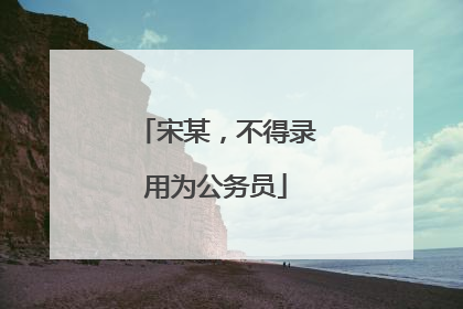 宋某，不得录用为公务员