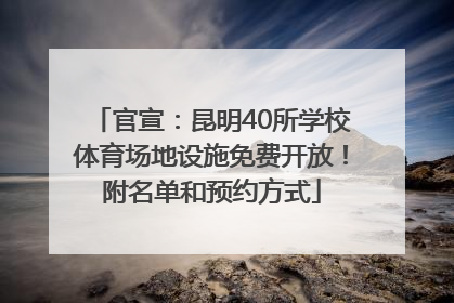 官宣：昆明40所学校体育场地设施免费开放！附名单和预约方式