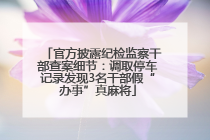 官方披露纪检监察干部查案细节：调取停车记录发现3名干部假“办事”真麻将