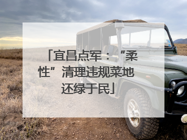 宜昌点军：“柔性”清理违规菜地 还绿于民