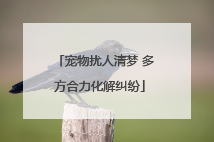宠物扰人清梦 多方合力化解纠纷