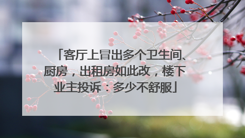 客厅上冒出多个卫生间、厨房，出租房如此改，楼下业主投诉：多少不舒服