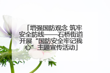 增强国防观念 筑牢安全防线——石桥街道开展“国防安全牢记我心”主题宣传活动