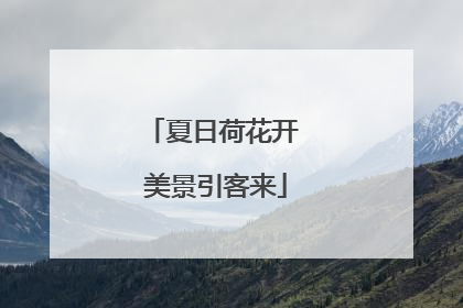 夏日荷花开 美景引客来