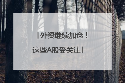 外资继续加仓！这些A股受关注
