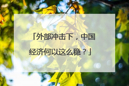 外部冲击下，中国经济何以这么稳？