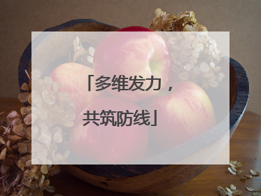 多维发力，共筑防线