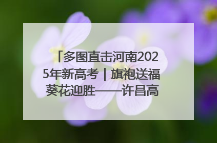 多图直击河南2025年新高考｜旗袍送福 葵花迎胜——许昌高考首日拉开帷幕