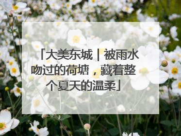 大美东城｜被雨水吻过的荷塘，藏着整个夏天的温柔