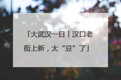 大武汉一日︱汉口老街上新，太“豆”了