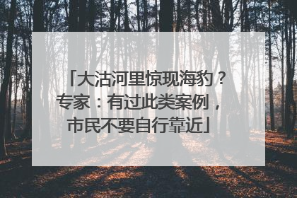 大沽河里惊现海豹？专家：有过此类案例，市民不要自行靠近