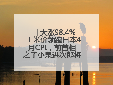 大涨98.4%！米价领跑日本4月CPI，前首相之子小泉进次郎将如何破局？
