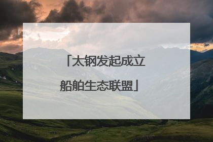 太钢发起成立船舶生态联盟