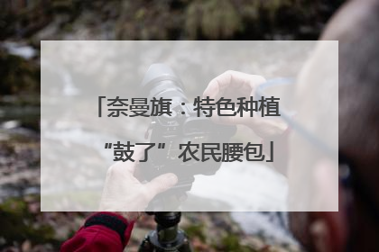 奈曼旗：特色种植“鼓了”农民腰包