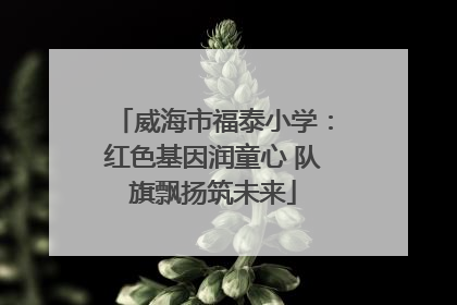 威海市福泰小学：红色基因润童心 队旗飘扬筑未来