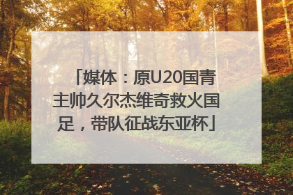 媒体：原U20国青主帅久尔杰维奇救火国足，带队征战东亚杯