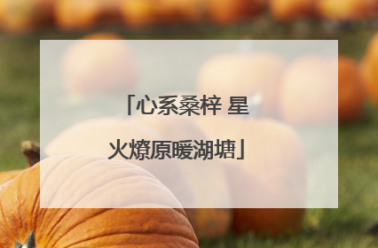 心系桑梓 星火燎原暖湖塘