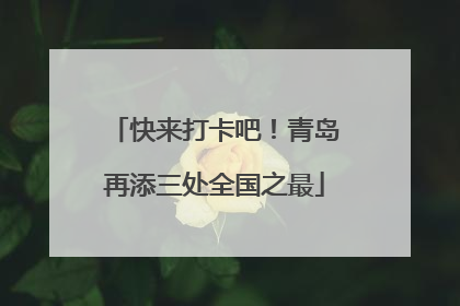 快来打卡吧！青岛再添三处全国之最