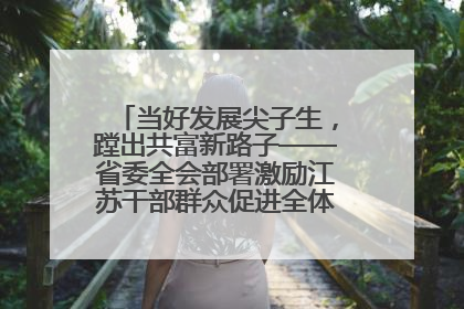 当好发展尖子生，蹚出共富新路子——省委全会部署激励江苏干部群众促进全体人民共同富裕