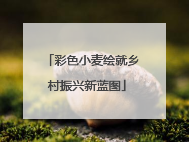 彩色小麦绘就乡村振兴新蓝图