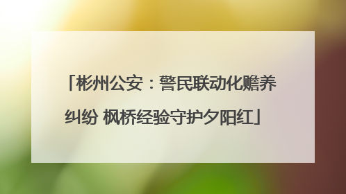 彬州公安：警民联动化赡养纠纷 枫桥经验守护夕阳红