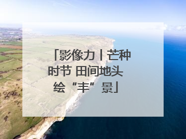 影像力丨芒种时节 田间地头绘“丰”景
