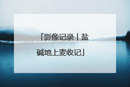 影像记录丨盐碱地上麦收记
