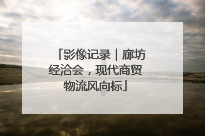 影像记录｜廊坊经洽会，现代商贸物流风向标