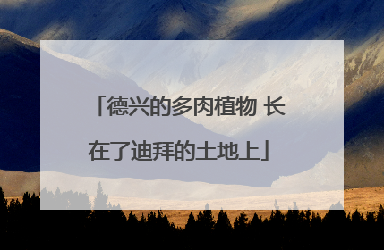 德兴的多肉植物 长在了迪拜的土地上