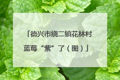 德兴市绕二镇花林村蓝莓“紫”了（图）