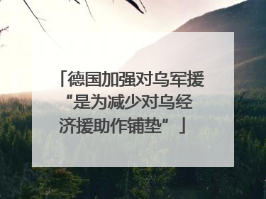 德国加强对乌军援 “是为减少对乌经济援助作铺垫”
